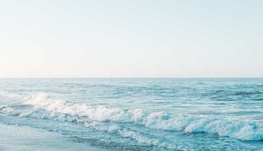 2025年11月17日　人道支援